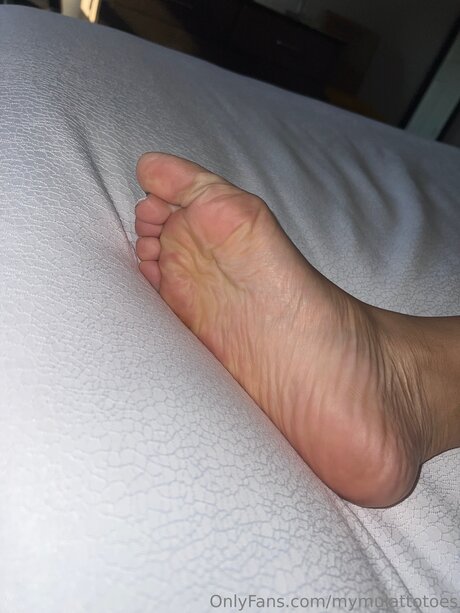 Mymulattotoes