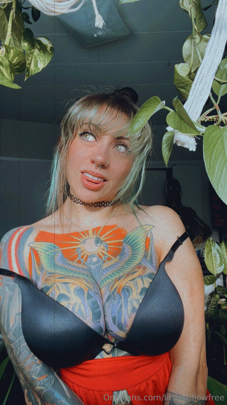 Littlewillowfree