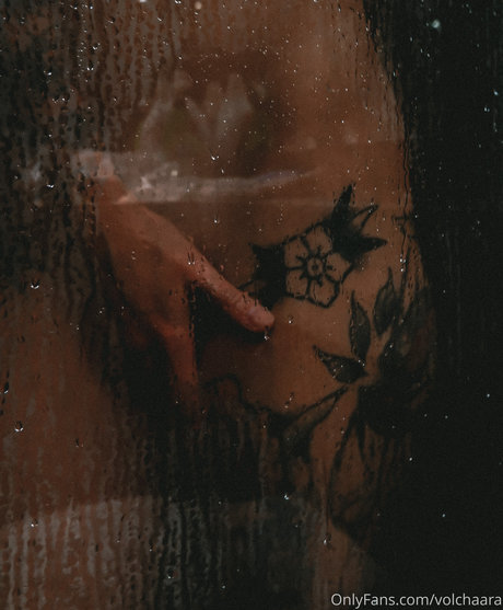 _volchara