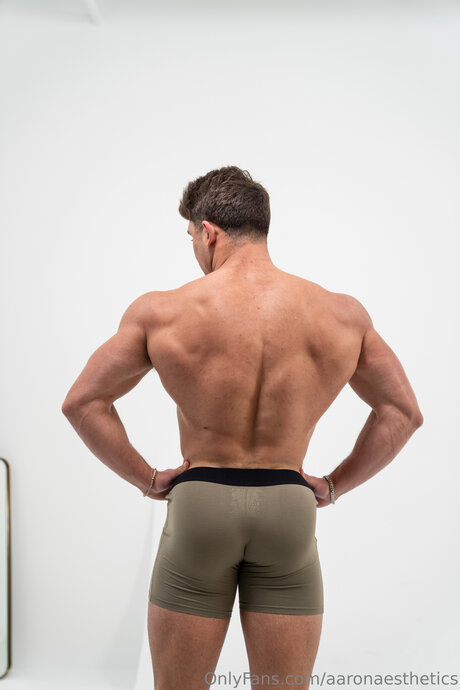 Aaronaesthetics