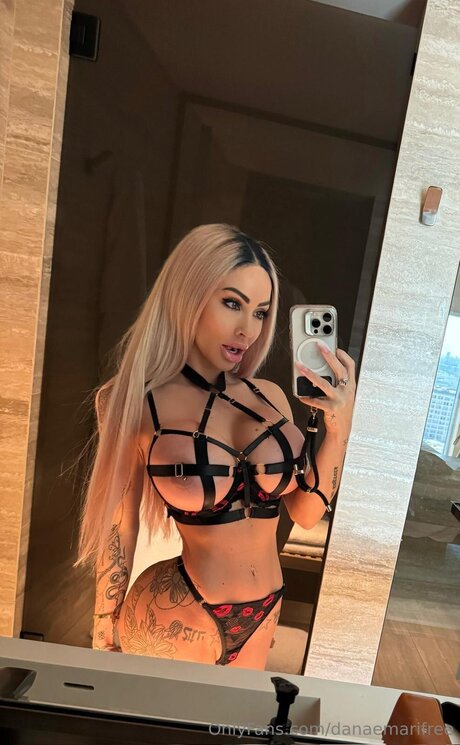 Danaemarifree