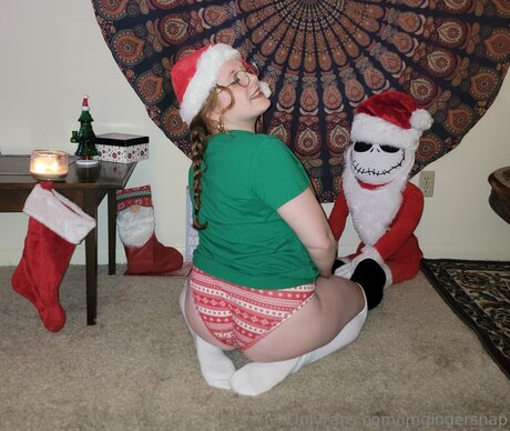 Imgingersnap