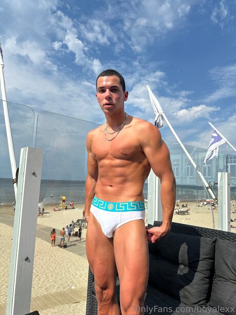 Boyalexx