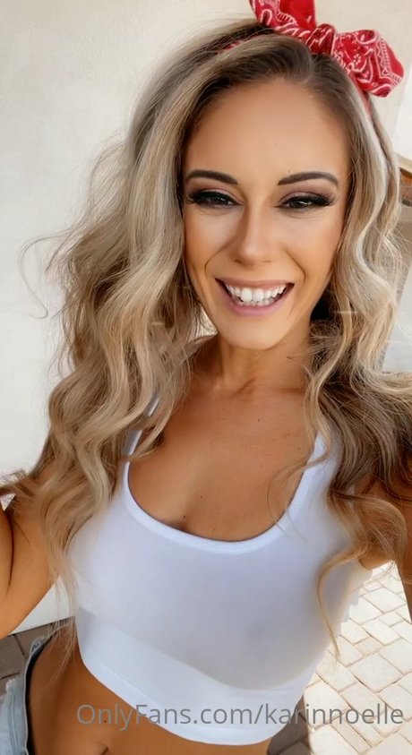 Karin Noelle