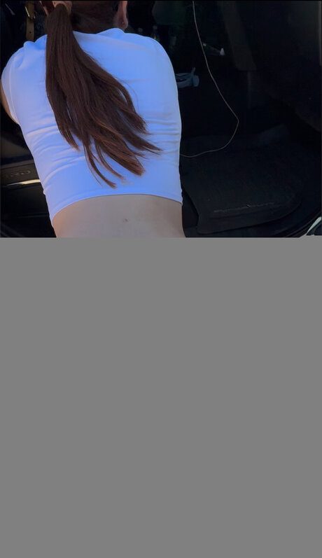 Chimocurves