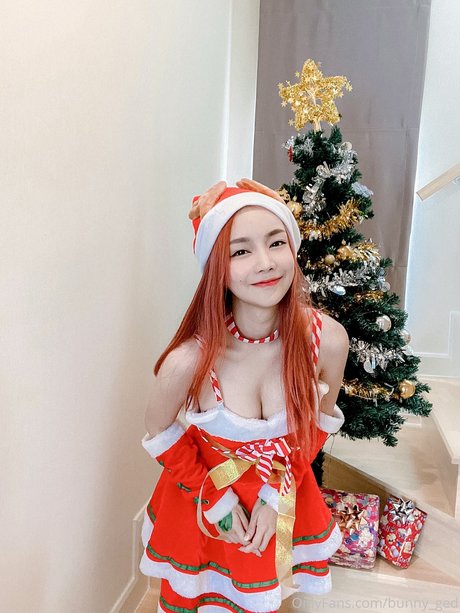 Bunny_ged