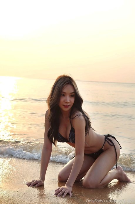 Bunny_ged