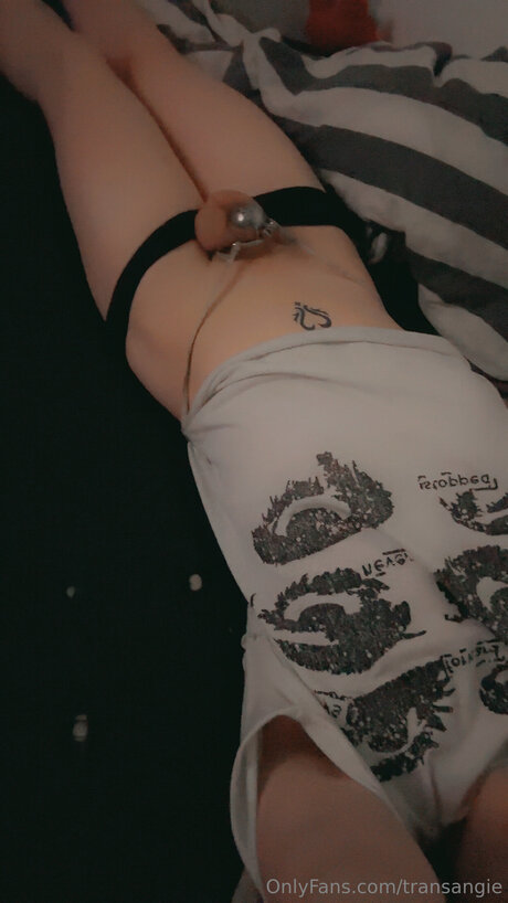Transangie