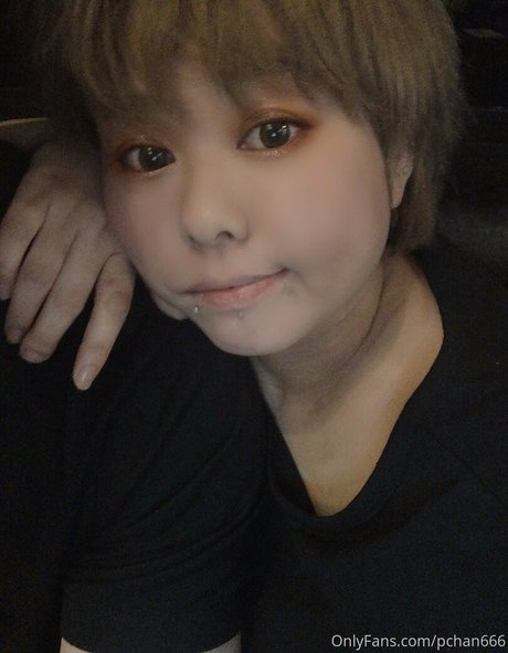 Pchan666