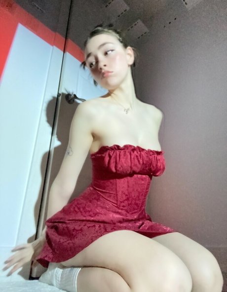 Awholelottazozo