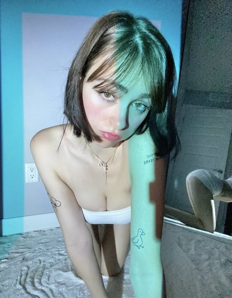 Awholelottazozo