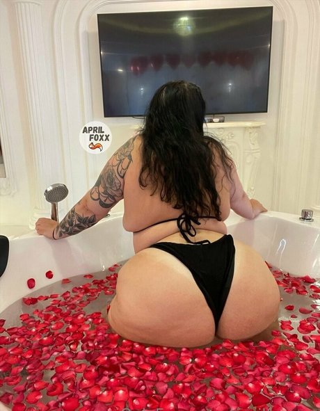 Aprilfoxxxx