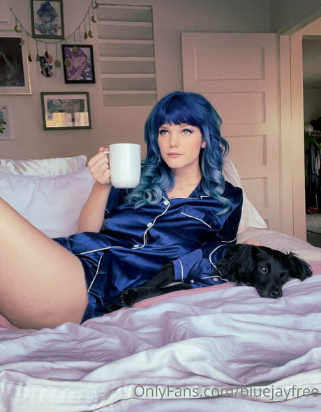 Bluejayfree