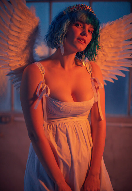 Bluejayfree