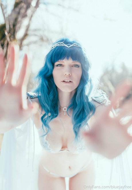 Bluejayfree