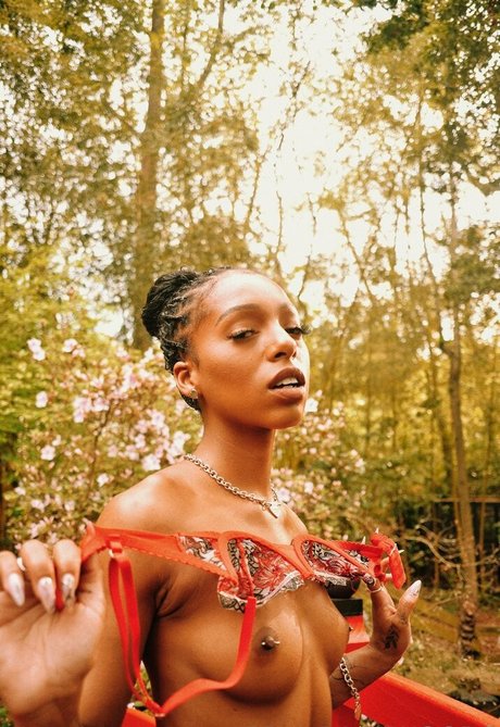 Briabackwoods