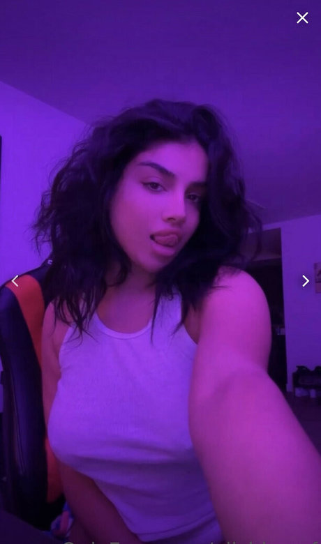 Alishbasheikh