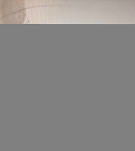 Photo nue de fuite OnlyFans de Livmia