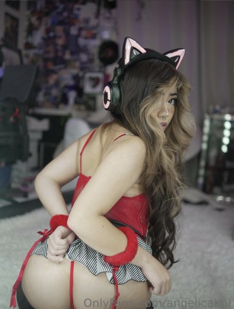 Angelicat