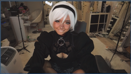 Angelicat