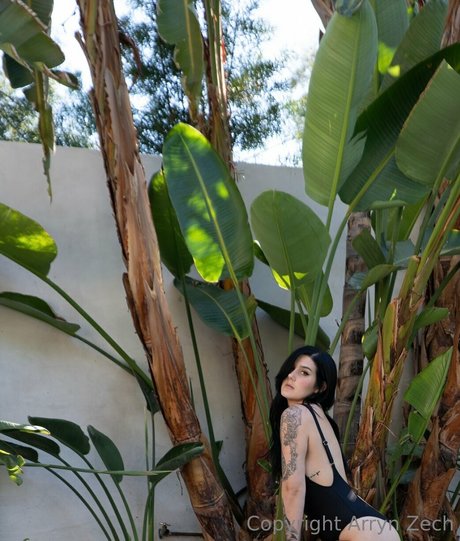 Arryn Zech