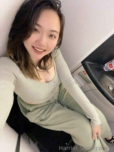 Harriet Sugarcookie