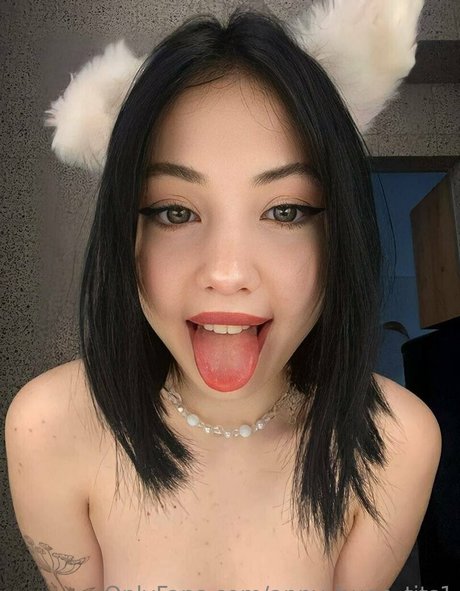 Kora lina