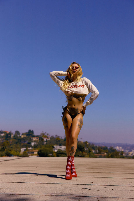 Alysha Nett