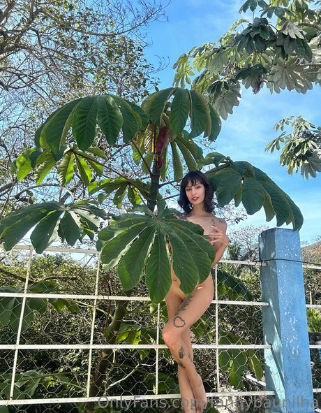 Fannybaunilha