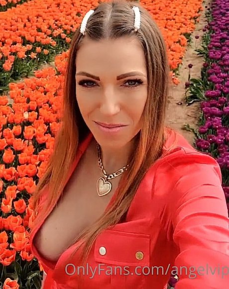 Angel Vip