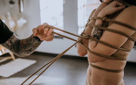 Akatsukishibari