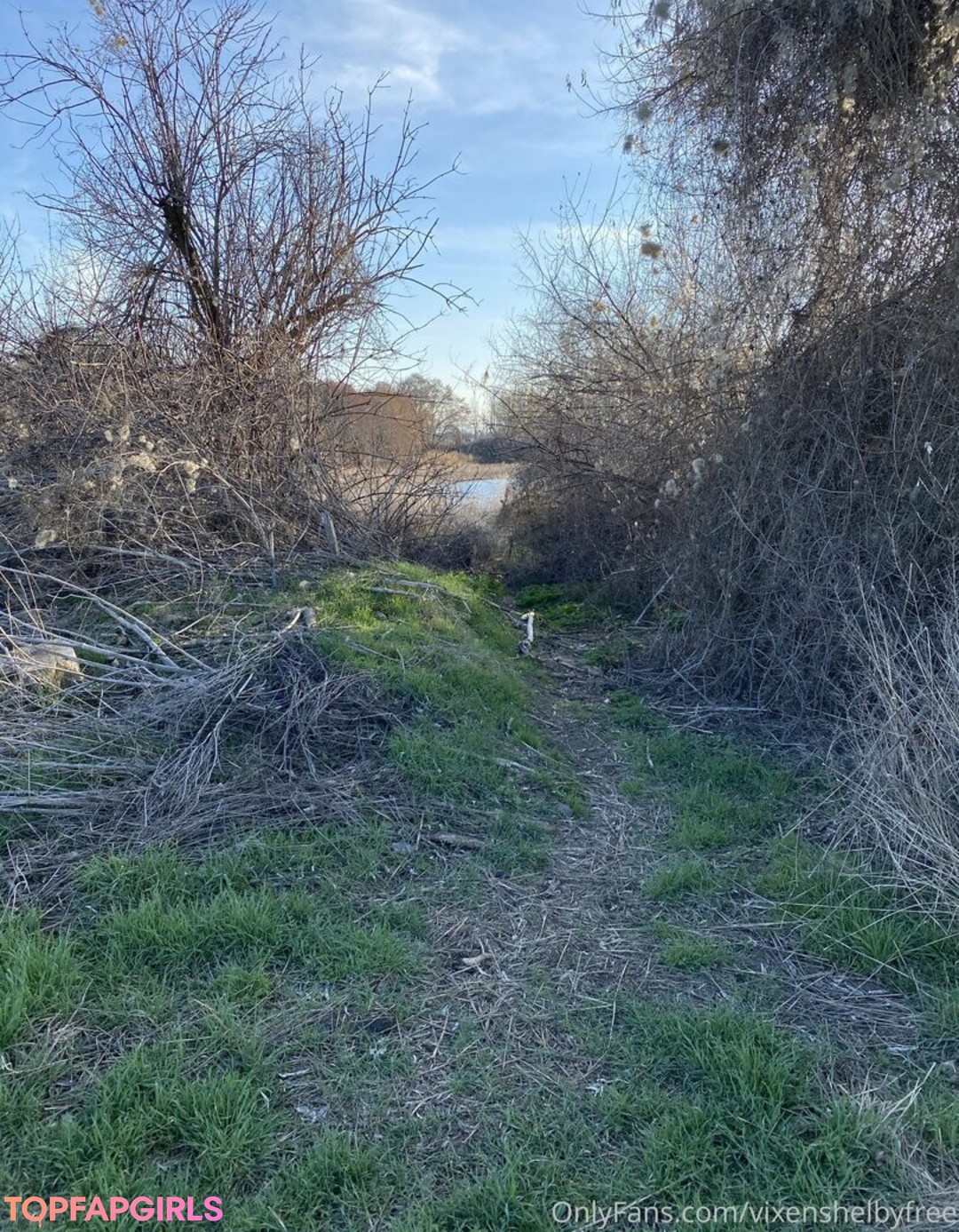 Photo nue de fuite OnlyFans de Vixenshelbyfree #70 Photo nue de fuite OnlyFans de Vixenshelbyfree #70