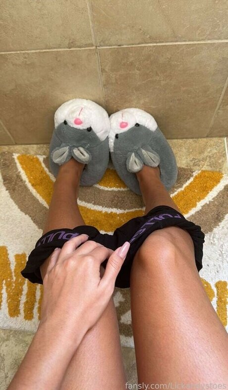 Lickandysoles
