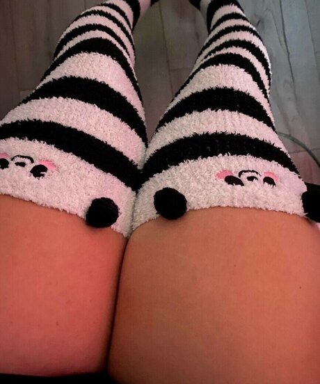 Pixispit