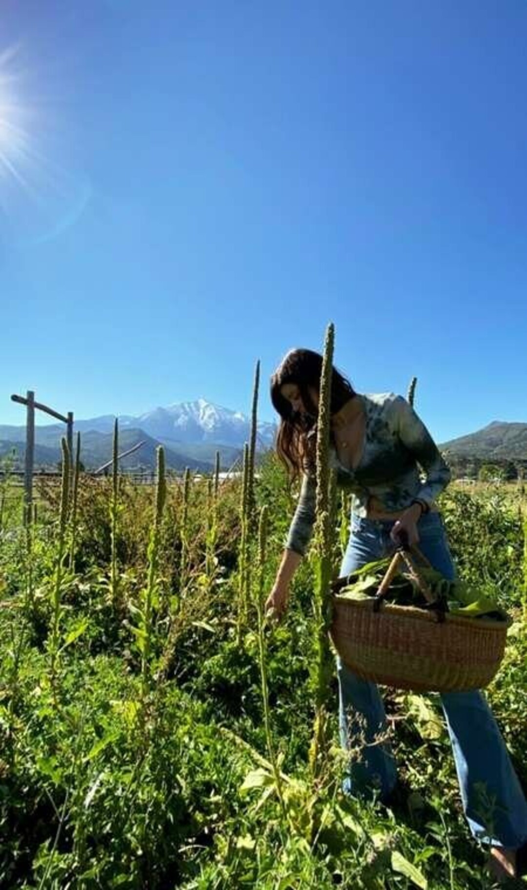 Photo nue de fuite OnlyFans de Rumpledtitskin #6 Photo nue de fuite OnlyFans de Rumpledtitskin #6