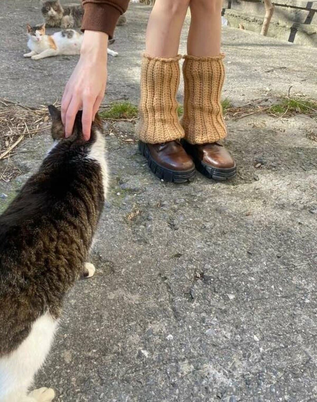 Photo nue de fuite OnlyFans de Mermaids Kiss #32 Photo nue de fuite OnlyFans de Mermaids Kiss #32