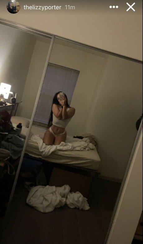 Thelizzyporter