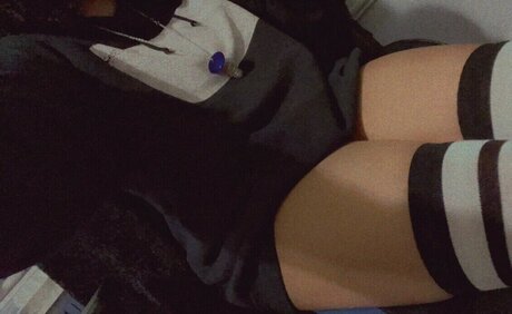 TaigaVS