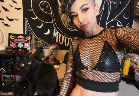 SailorTabbyCat