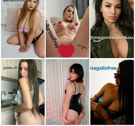 Hollyclue