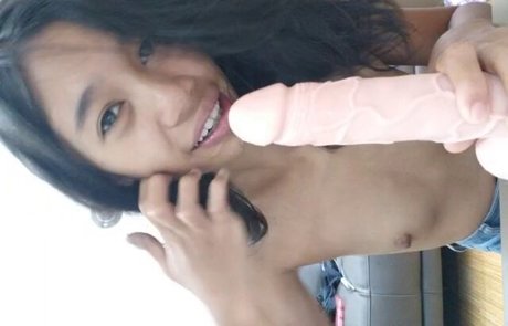 CreamBerryFairy