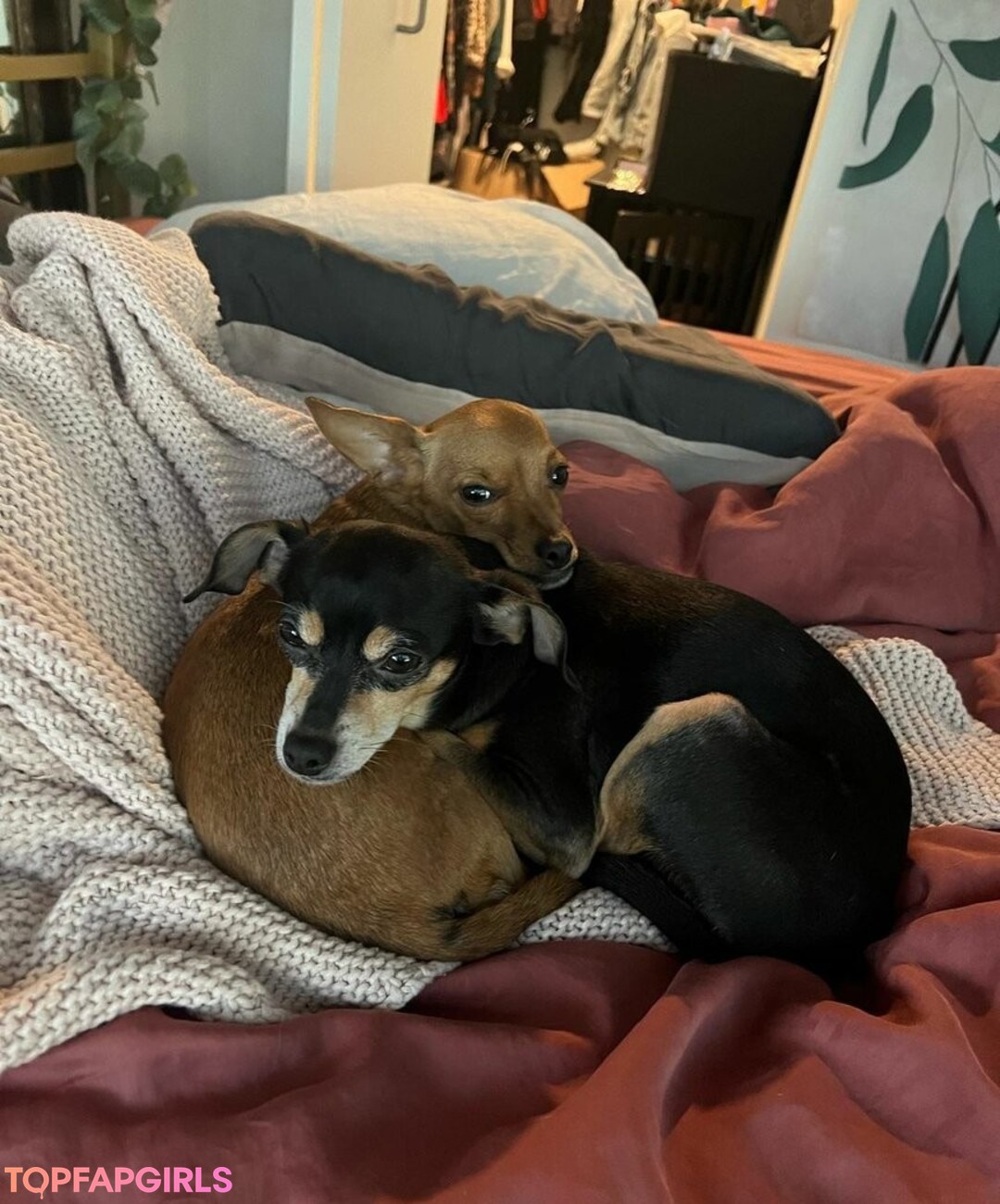 Photo nue de fuite OnlyFans de Suki Jade #59 Photo nue de fuite OnlyFans de Suki Jade #59