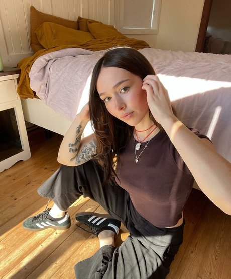 Holls8