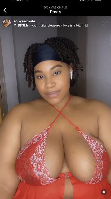 ContentIsland BBW