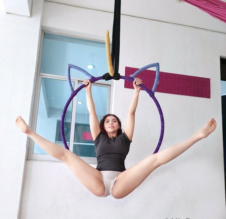 Miabasagnes_aerialist