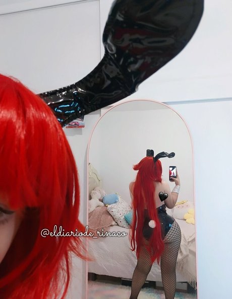 Eldiariode_rinaco
