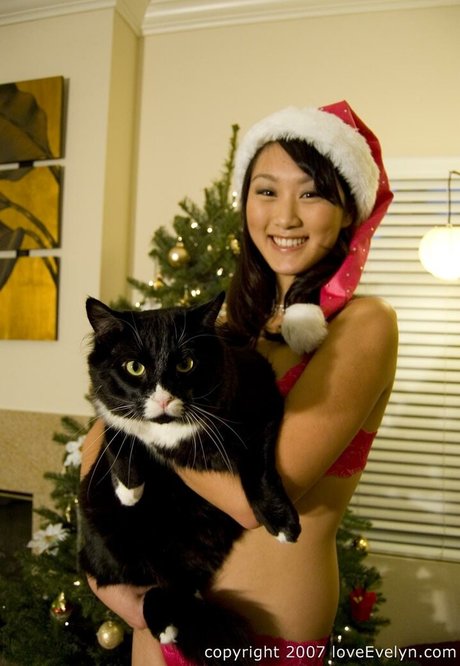 Evelyn Lin