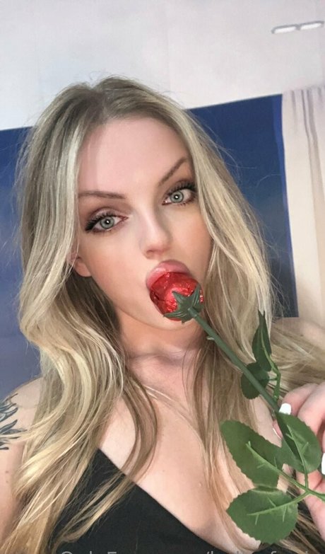 Holly_fordx