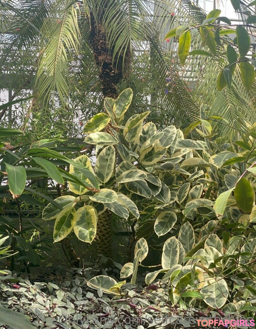 Photo nue de fuite OnlyFans de Selfcarewithchloe #34 Photo nue de fuite OnlyFans de Selfcarewithchloe #34