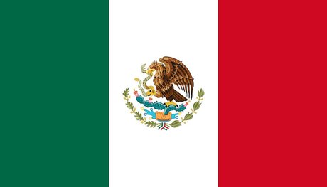 Mexi Melt